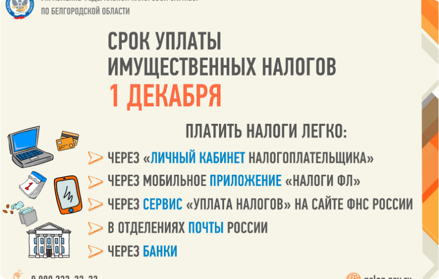 Собственники имущества начали получать налоговые уведомления на уплату имущественных налогов.